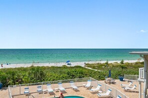Property grounds - BBC216 - Gulf Breezes & Beachfront Vibes! (Belleair Beach)