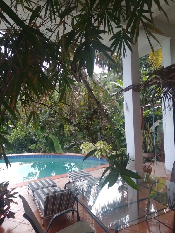 Téléviseur à écran plat, services de diffusion en continu