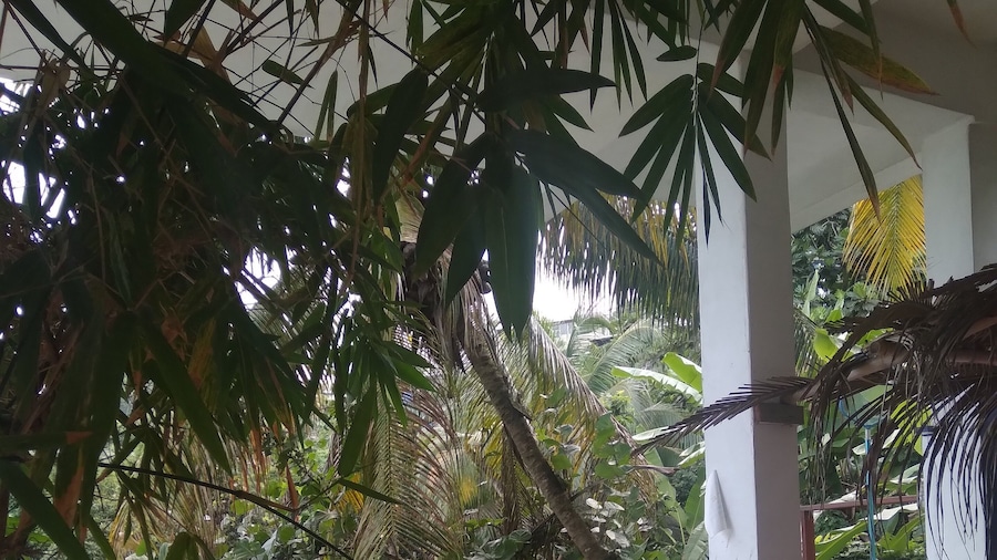 Honiiwell rooms and suites