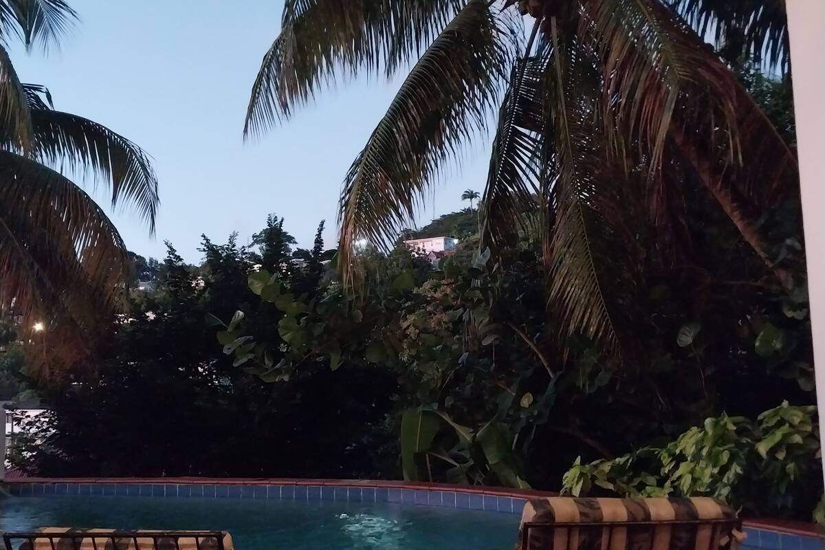 A poolside area with a table and chairs, surrounded by palm trees and a view of a building in the background.