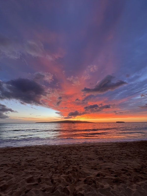 Playa en los alrededores y camastros