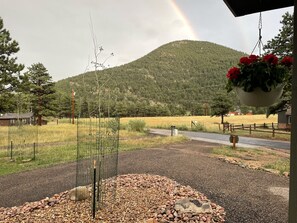 Property grounds - House in Forest Setting Near RMNP with Hot Tub and Mountain Coaster Passes (Estes Park)
