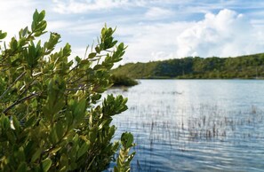 Beach - Affordable waterfront 1 bedroom apartment (Providenciales)