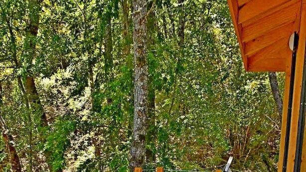 A man seated at a table with plates of food, a glass of wine, and a portable grill. - Conguillio Park Cabin for 4 people (Melipeuco, Araucania)