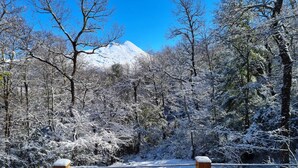 A snowy forest with a mountain in the background and a wooden fence in the foreground. - Conguillio Park Cabin for 4 people (Melipeuco, Araucania)