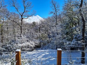 Vue depuis l’hébergement