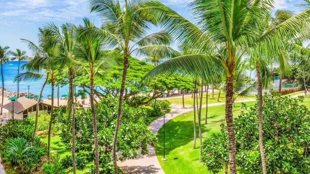 Un resort tropical con palmeras, un sendero y vista al océano.