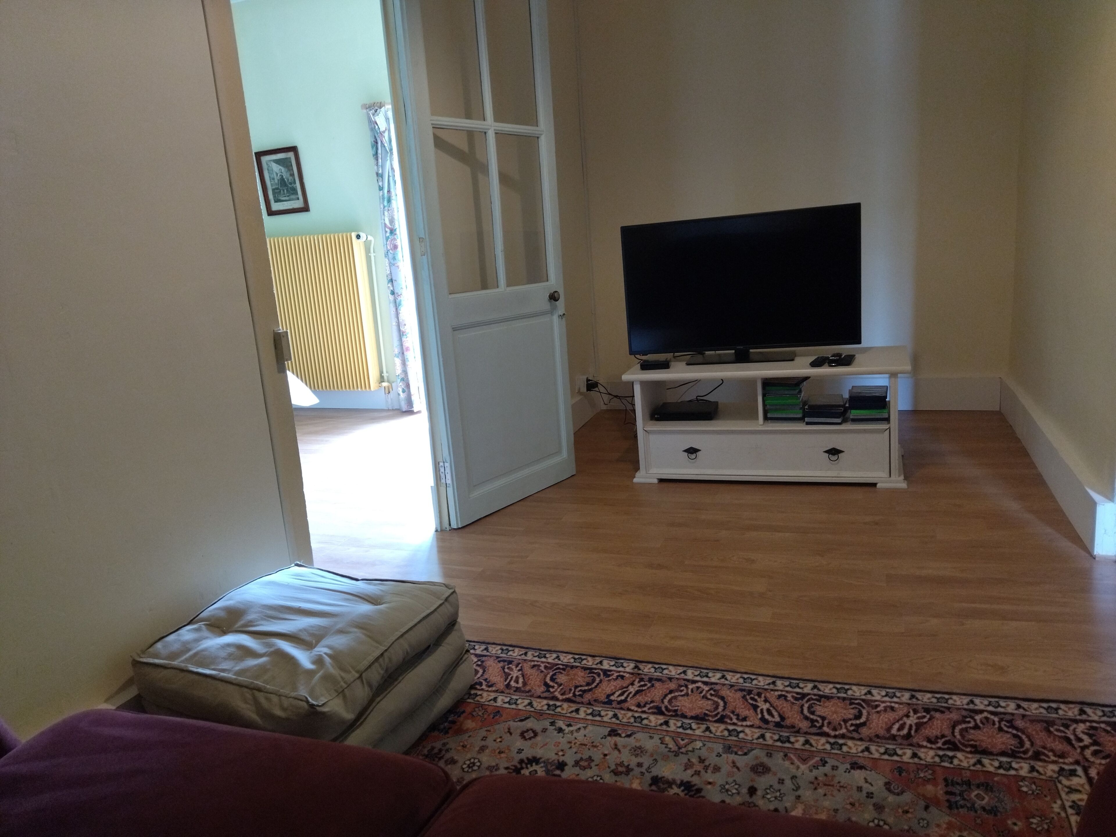 A living room with a television on a stand, a patterned rug, and a sofa.