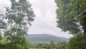 Un paysage rural avec une clôture métallique au premier plan, un champ d’herbe et des arbres en arrière-plan.