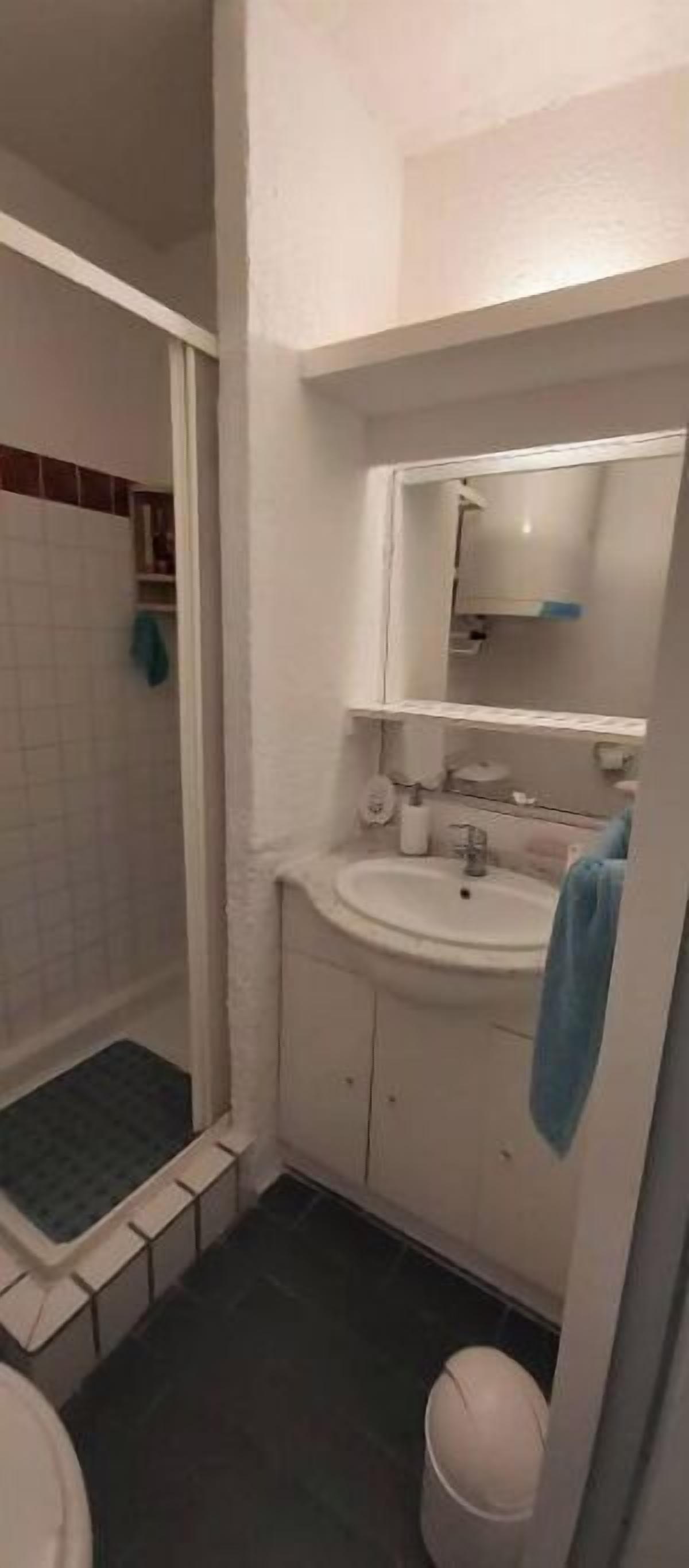 Een kleine badkamer met een douche, een wastafel en een toilet.