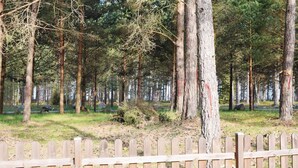 House | View from room - Beautiful Home in Mörbylånga With 4 Bedrooms (Morbylanga)