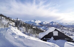 House | Exterior - Beautiful Home in Rauland With Wifi and 4 Bedrooms (Vinje)