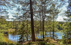 A forested area with a lake, surrounded by tall trees and dense vegetation. - Amazing Home in Mollaryd With 2 Bedrooms and Wifi (Ljung)