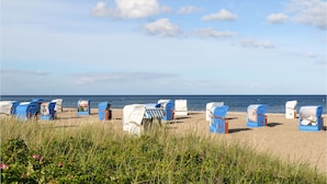 Una playa con filas de sillas y sombrillas azules y blancas, dispuestas en línea a lo largo de la orilla.