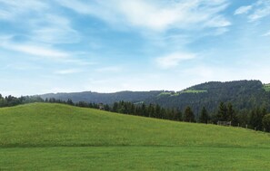Ferienhaus | Ausblick vom Zimmer