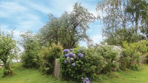 A garden with a variety of plants and trees, including a prominent flowering bush with purple blooms.