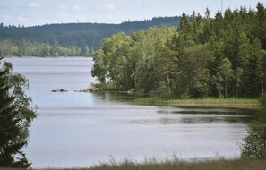Tyyni järvi, jonka ympärillä on tiheä metsä.