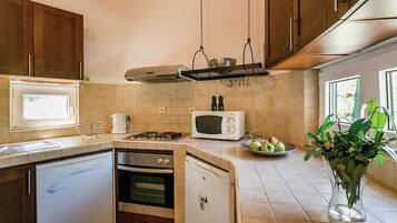 House | Private kitchen | Fridge, cookware/dishes/utensils