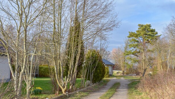 A rural road flanked by leafless trees and a house with a dark roof. - Beautiful Home in Hasslö With Wifi (Hasslö)