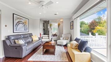 TV, fireplace, video games