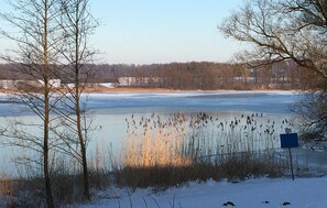 A frozen lake with bare trees and reeds in the foreground, and a distant forest line. - Awesome Home in Krems Ii/warderbrück With 3 Bedrooms, Sauna and Wifi (Krems II)