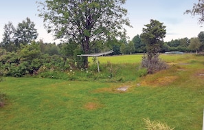 A grassy field with a large tree and a small bush.