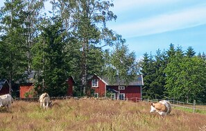 Hus | Eksteriør