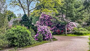 Un sendero pavimentado bordeado de vegetación exuberante y árboles en flor.