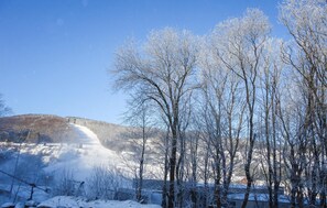 Schneebedeckte Landschaft mit kahlen Bäumen und einer entfernten Ansicht einer Stadt.