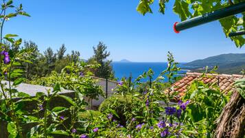 Apartment | View from room