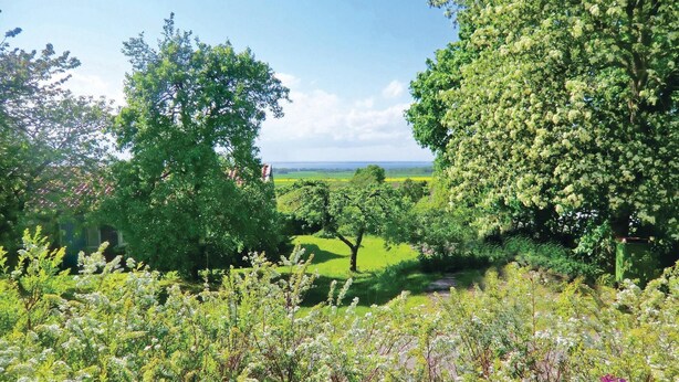 A lush green landscape with a view of the sea, surrounded by trees and vegetation. - Amazing Home in Färjestaden With 1 Bedrooms (Farjestaden)