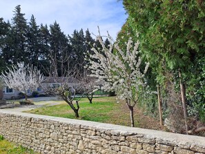 Property grounds - Domaine des Vergers (Cavaillon)