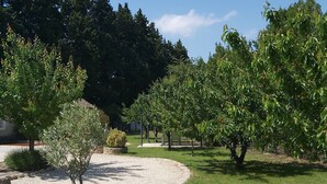 A landscaped garden with a stone wall, various trees, and a clear blue sky. - Domaine des Vergers (Cavaillon)