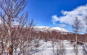 Ulkopuoli