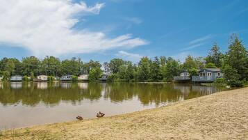 A lakeside property with several cabins, a sandy beach, and ducks on the shore.