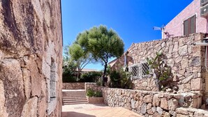 A stone pathway leading to a building with a tree and a stone wall.