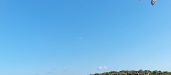 DOMUS HENRICUS -THREEROOM APARTMENT IN PORTO POLLO 400 Meters from the sea 