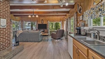 Smart TV, fireplace, stereo