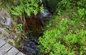 A natural stream with surrounding greenery and a wooden boardwalk. - Awesome Home in Hurdal With 2 Bedrooms (Hurdal)