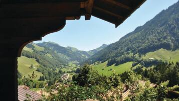 Apartment (Chalet Hochmatt) | View from room