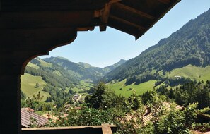 Apartment (Chalet Hochmatt) | View from room - Chalet Hochmatt (Jaun)