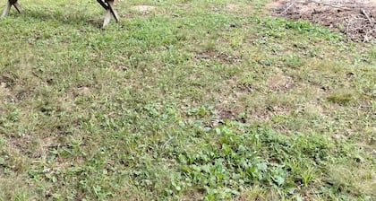 Large private campsite within minutes of Lake Cumberland!