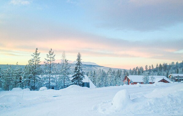 Eksteriør