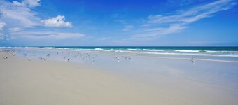 LunaSea Estate - Directly Across from the Ocean