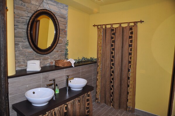 Shower, hair dryer, bidet, towels