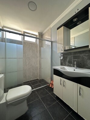 Un baño con inodoro, zona de ducha y lavamanos con espejo.