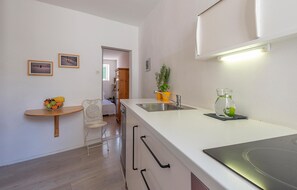 Apartment | Private kitchen - Amazing Apartment in Rovinj With Wifi (Rovinj)