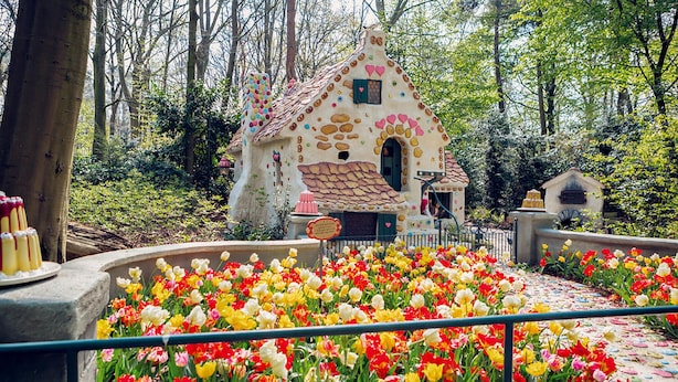 A whimsical garden with a colorful house surrounded by a variety of tulips.