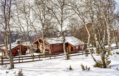 Amazing Home in Dovre With Sauna and 3 Bedrooms