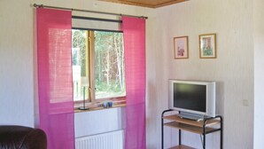Une pièce avec une fenêtre ornée de rideaux roses, un radiateur blanc, un téléviseur posé sur un meuble en bois et deux tableaux encadrés accrochés au mur.
